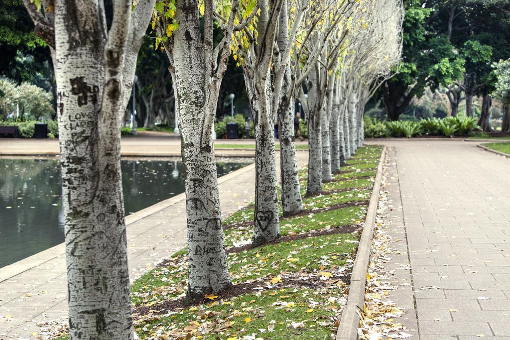 Oaks Sydney Hyde Park Suites Bagian luar foto